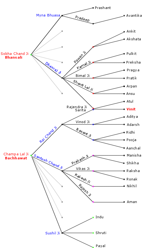 Vinit Bhansali's family tree
